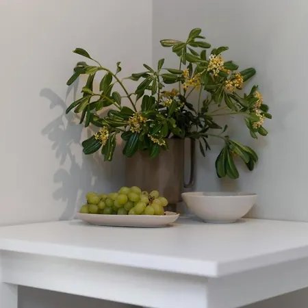 Alloro By Seeadria Agency Pensjonat Novigrad (Istria)