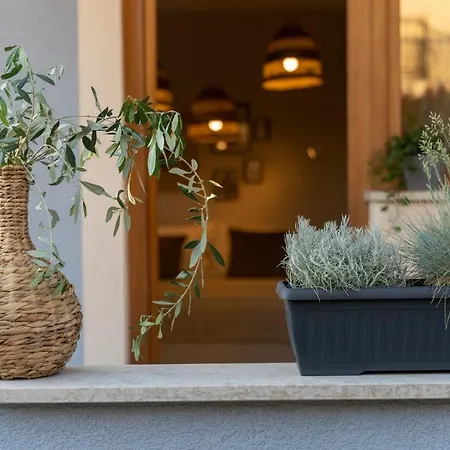 Maison d'hôtes Alloro By Seeadria Agency *