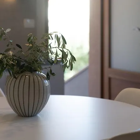 Alloro By Seeadria Agency *